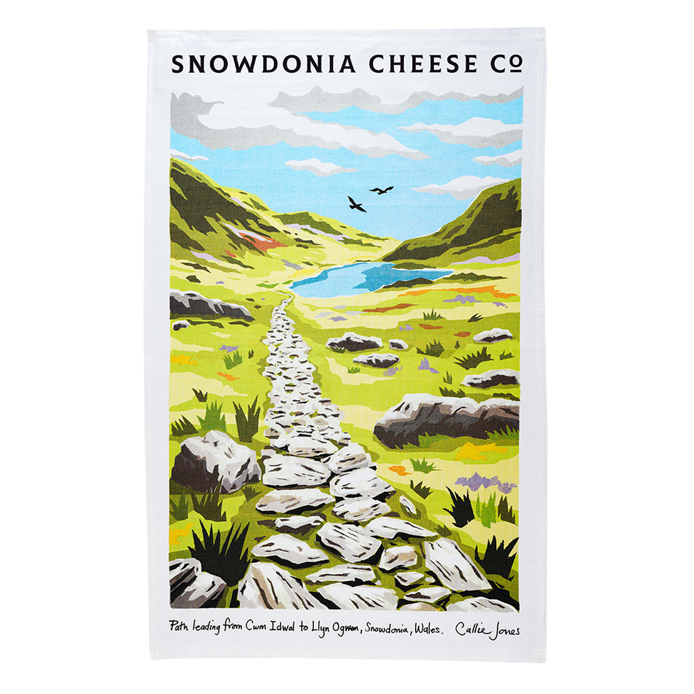 Snowdonia Tea Towel